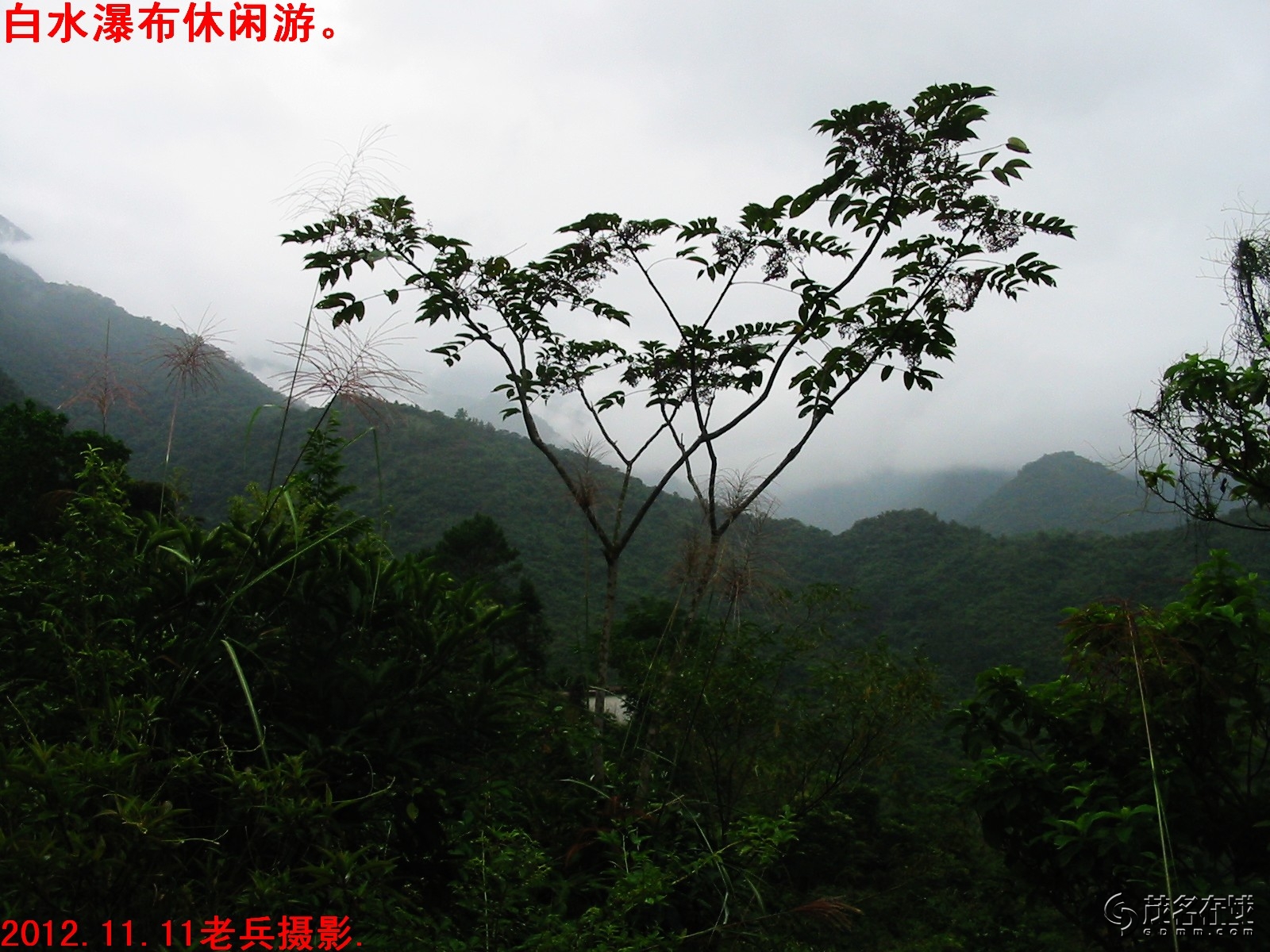 阳春市八甲镇人口情况_阳春市八甲镇仙湖山庄(2)