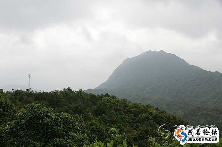 阳春市八甲镇人口情况_阳春市八甲镇仙湖山庄(2)