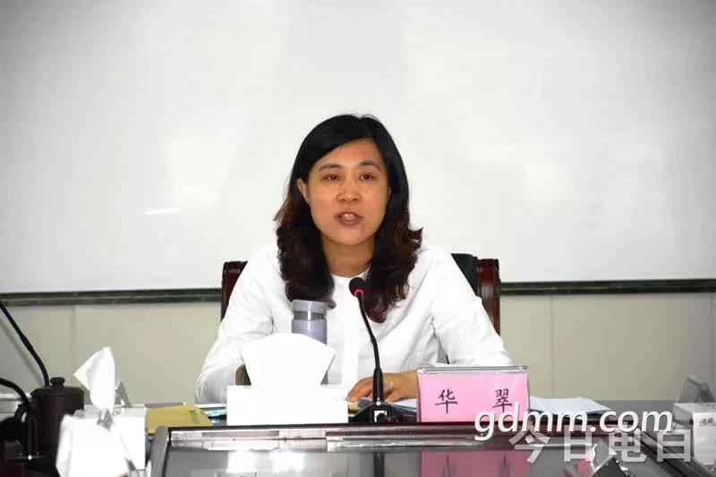 电白gdp镇_茂名市电白区马踏镇