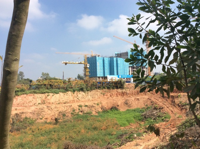 化州下郭新区建设进度
