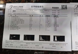 ï������ĳķ�Ƶ�Գ������⣬��������6��