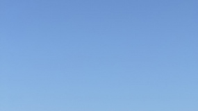 ǿҪ鴦Ͷïйһ̲ǿAPPַο˽