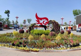 ����ï��������ٻ����������շ�