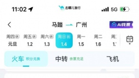 2026��1��5����ï����������