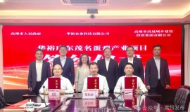 ����������������ݴ�����ڵ�����ҵ��Ⱥ