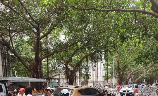 ���ǳ��л�����壿