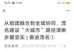 ï���еĳ��й滮����Ӧ���г�Զ�ķ�չ�۹�͸���ĸ�֣�