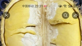 ����ͷ�����ܹ�