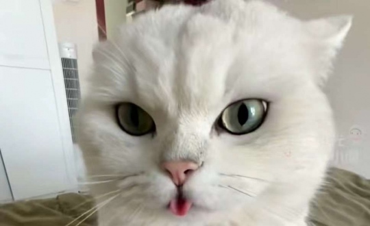������Ǽʣ���ҵ�����