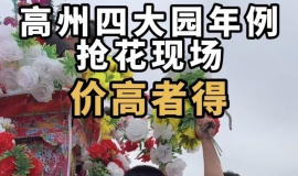 Ϸ˵��������