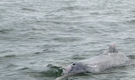 ��ȥ�����˳��˸����ŵ����ɵ�һ��Сʱ��