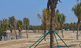 �����ڼ����ߴ����һ����ɳ̲�����ݵ�һ̲��