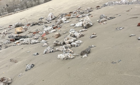 @�����������������������ã���������ɳ̲�����������������ֽ���¶����������