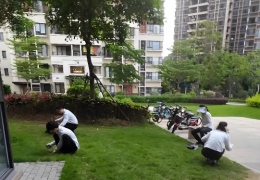 ������һ�£�ï���ж���С����ҵί��ģ���Щҵί�����ܰ�ҵ��ı��������