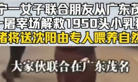 ������ï���ַŴ�����