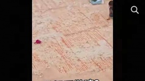 ���ݹ㳡��ͥ�����