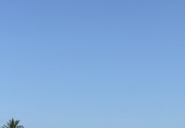 ǿҪ鴦Ͷïйһ̲ǿAPPַο˽