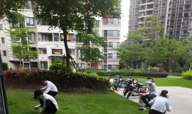 ������һ�£�ï���ж���С����ҵί��ģ���Щҵί�����ܰ�ҵ��ı��������