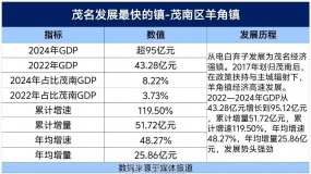 �����GDP����ʱ���40����������90���ڣ��ǵ����ڻ���ï�ϵõ���չ��