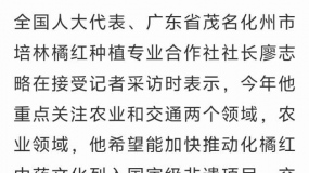 ȫ���˴����: ������ï����������ҹ滮