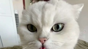 ������Ǽʣ���ҵ�����