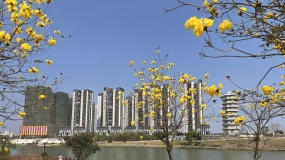 ���︴�գ�����2026��3�³��罨����ȳɹ�����