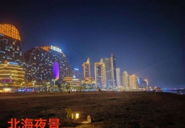 ���Ľ��飡��������ï��������ֲ�����ï��ҹ����ֵ����ӭ����~