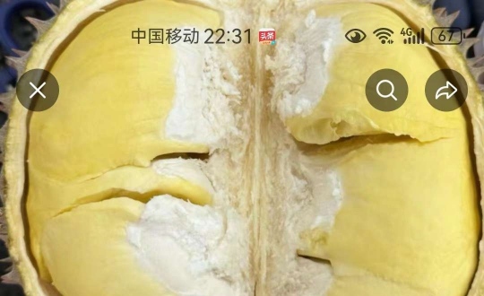 ����ͷ�����ܹ�