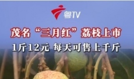 12��һ����֦����Ҳû��֮ǰ˵30��һ����ô��