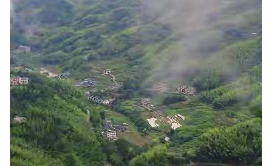 �ï�������ƿ�ï����վ�����뷨��������ʵ��