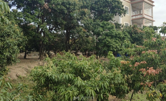 �������ͷ������ũ���ȵ�ˮԴ������