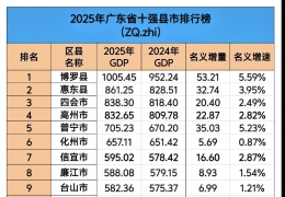 2025��㶫gdpʮǿ�أ��߻���ռ��ϯ