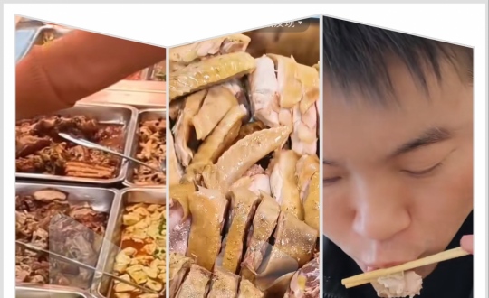 13.8Ԫ������ʳ����������ʳ�ġ�