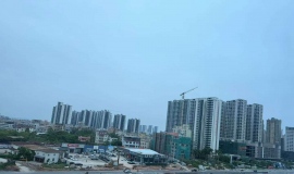 ï����������ʲô