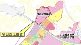 ï����ʦѧԺ��У��2026�����½�չ