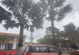 ��ײ�����ï��