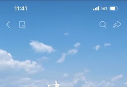 տ���м̳и��ݸ�����70%��������26%��ï������4%