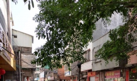 ïһ��������Ȼ����