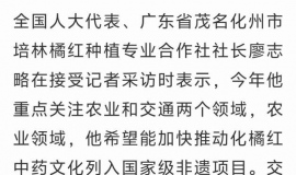 ȫ���˴����: ������ï����������ҹ滮