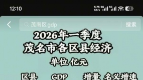 ̨ɽ�Աȸ���GDP