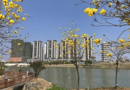 ���︴�գ�����2026��3�³��罨����ȳɹ�����