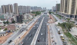 ���޺�ơ���һ�����ţ�ï���������������ͨ��