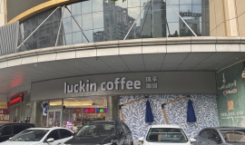 �������Ǹ߶�Ʒ���𣿿���������������Ŷ