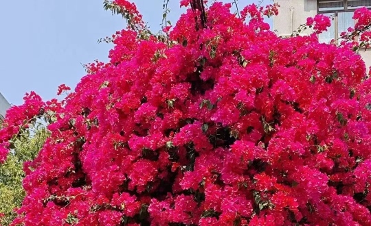 �������ˣ����ڴ���ʱ��˭�����Ƚ��ף�