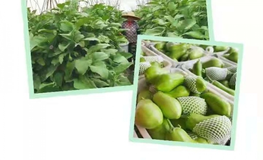 �������ѻ���