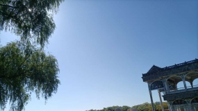 ��Ů����ȥ���δ�������˷�Ǯ�����Ƕ���ʷ�����ľ��ۺ�����Ȥ��ֻ����������Ȥ
