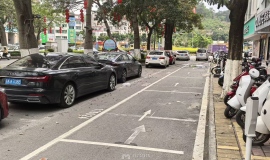 �����ǻ�ͣ�������������˵ġ��ǻۡ�