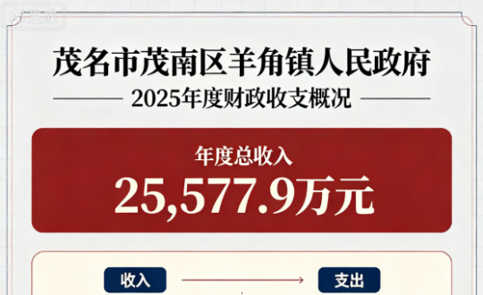 ï����ï��������� 2025 ��Ȳ�����֧�����ʾ