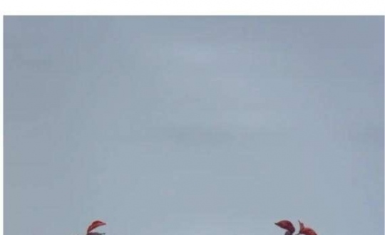 �����