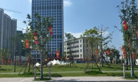 ŵ��һ��ï��Ƭ��һ��СС���Ϲ�԰���㲻������